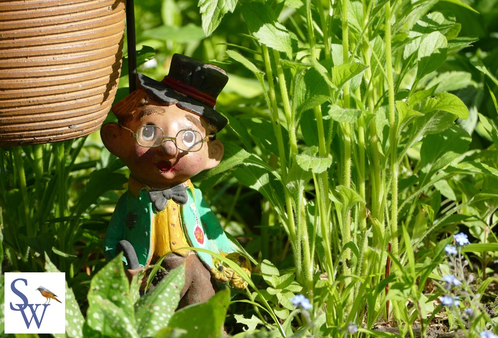 Rudi - ein kleiner Landstreicher in unserem Garten - Foto von Sylvia Wentzlau